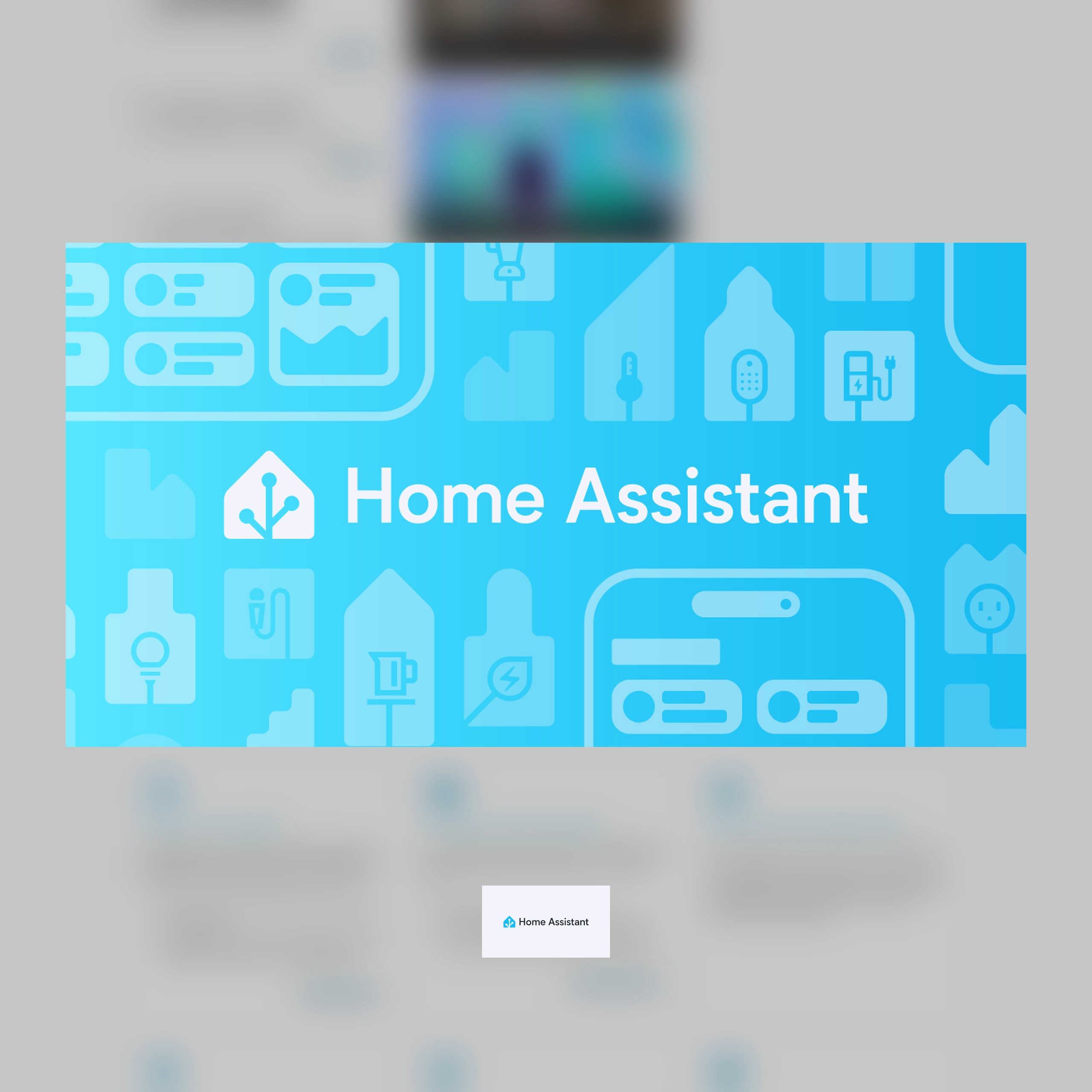 Home Assistant