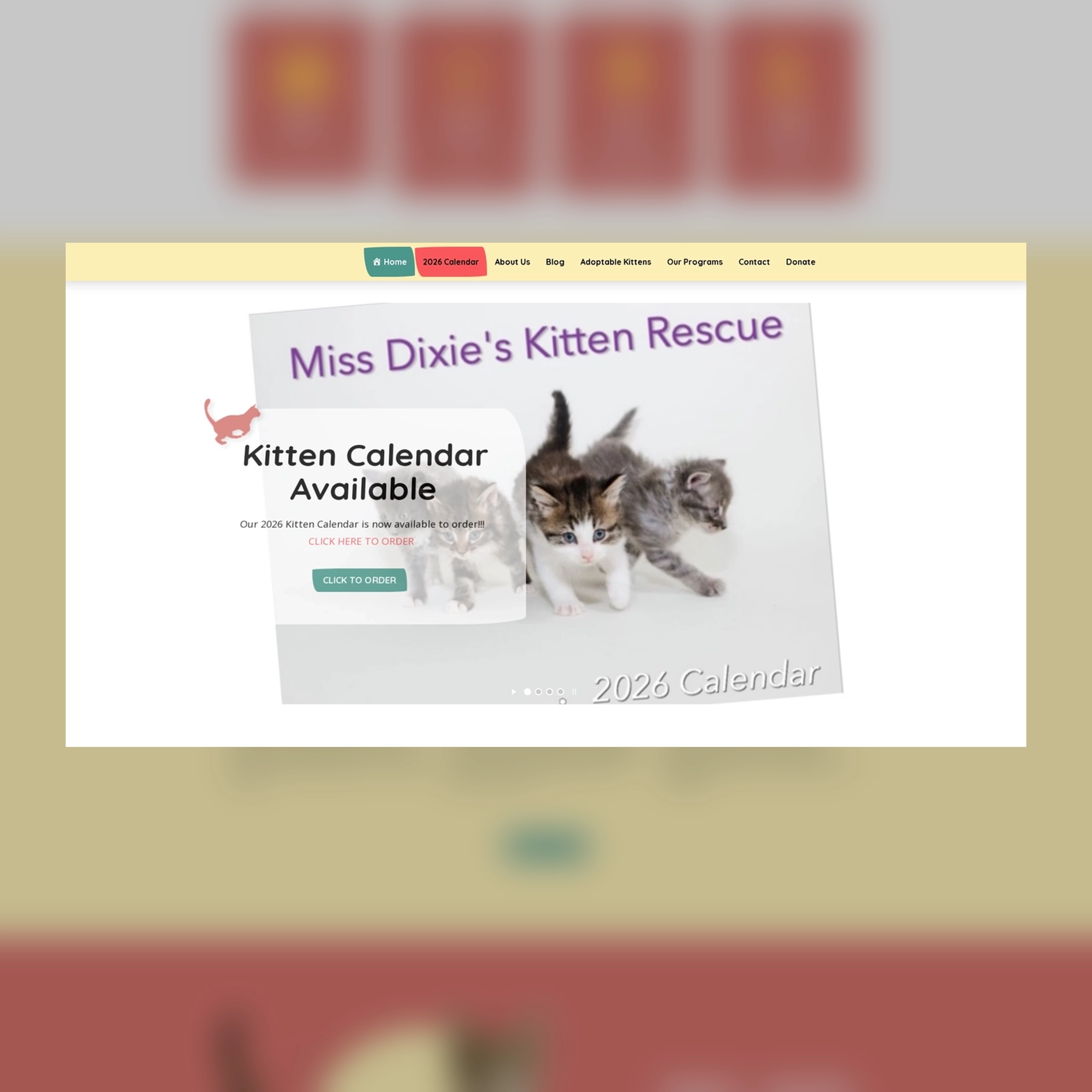 Miss Dixies Kitten Rescue