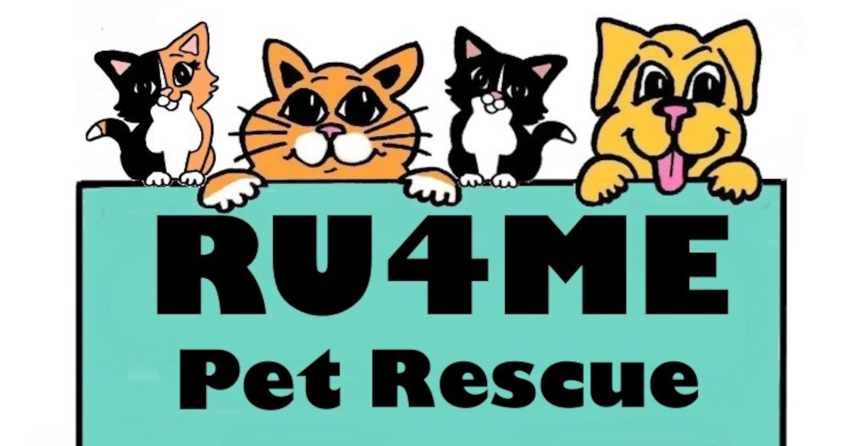 Ru4me Pet Rescue project card image